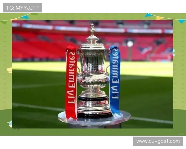 足球风云再起：从绿茵场到全球舞台，探寻足球的历史演变与未来发展