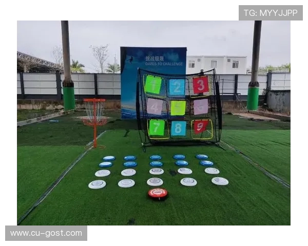 深入分析上海飞盘队区域防守战术的特点与应用策略 深入分析上海飞盘队区域防守战术的特点与应用策略