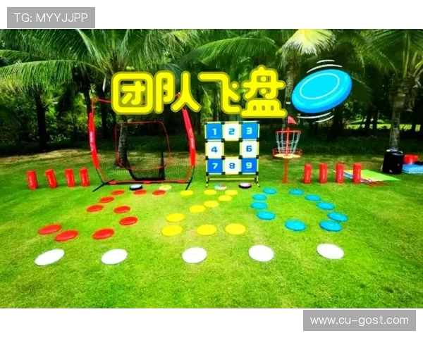 飞盘热潮席卷杭州飞盘队如何实现速度与技术的双重飞跃