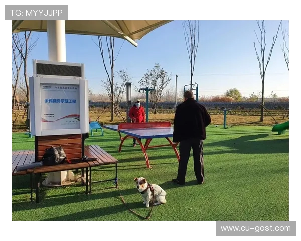 体育运动的多元化发展与全民健身新趋势的深度融合探讨