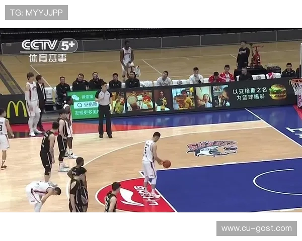 常规赛精彩对决浙江队迎战辽宁队争夺季后赛席位的关键战役